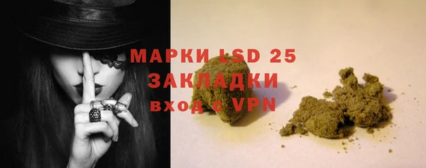 сатива Волосово