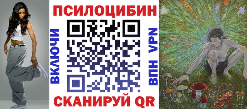 Псилоцибиновые грибы MAGIC MUSHROOMS  мега как войти  Карасук 